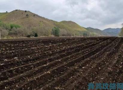 黑土本子现象观察谁来守护我们正在消失的肥沃黑土层