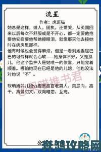 公与媳系列100集小说曝光的隐秘真相让万千读者夜不能寐