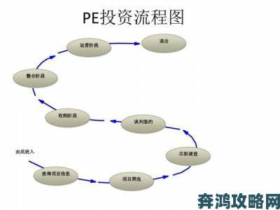 新版金银瓶1996第二级利率分析全流程指南告别盲目投资的关键步骤