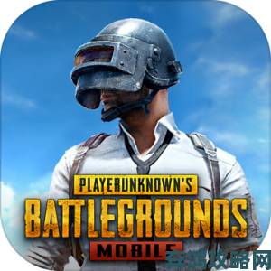 pubg官方正版下载入口最新版本公告 手游端游双平台同步更新