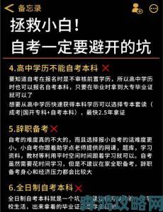 一级免费避坑指南：资深用户总结高效使用方法与常见误区