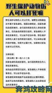 4虎事件持续发酵公众呼吁彻查背后保护伞