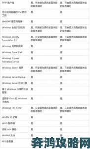 日本windowsserver18的正版授权费用究竟值不值得投入？