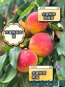 野蜜桃成健康饮食新宠专家解析其营养价值与食用禁忌